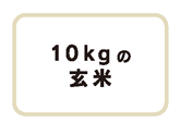 10キロサイズの玄米