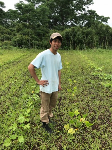 熊本産「自然栽培(農薬不使用・無肥料)小麦粉」薄力粉 5kg えと菜園オンラインショップ 自然栽培や有機栽培の商品を全国へお届け。