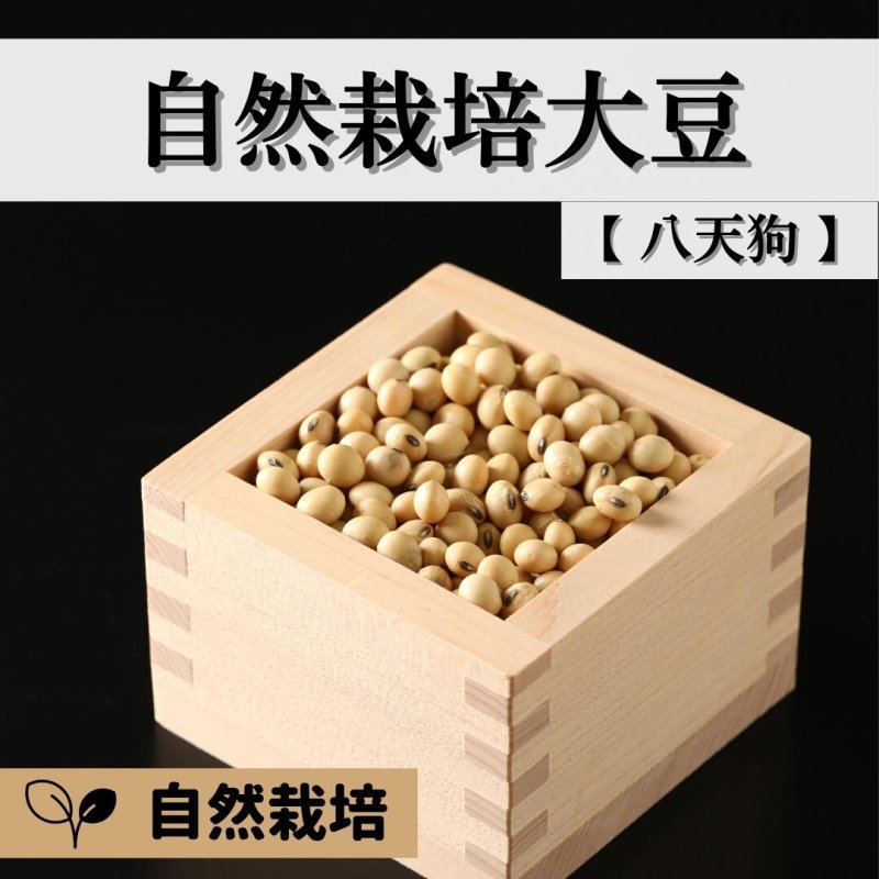 自然栽培 幻の大豆『八天狗』5kg 熊本県産 - 野菜