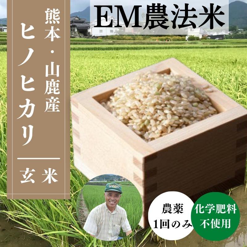 熊本山鹿産ヒノヒカリ】環境にも優しい「EM農法米」＜玄米＞ えと菜園