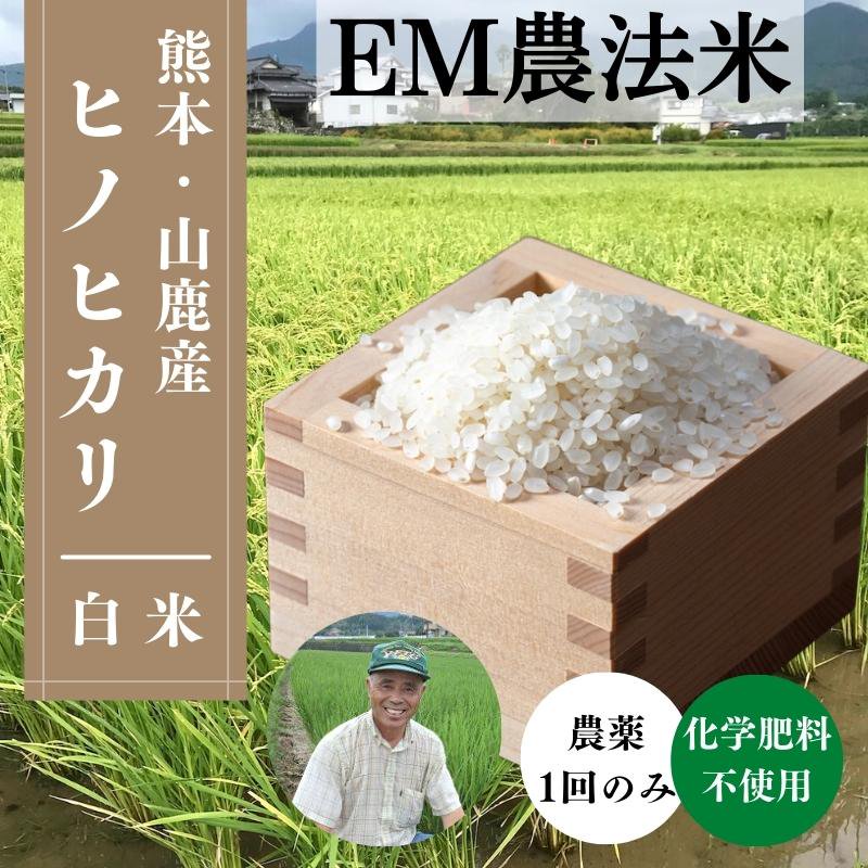新米‼️農家直送 自然栽培無農薬 10kg れんげ米 菊池米七城町栽培