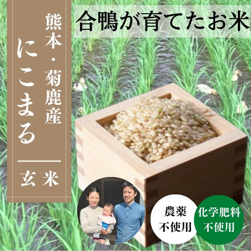 にこまる玄米10キロ - 米・雑穀・粉類