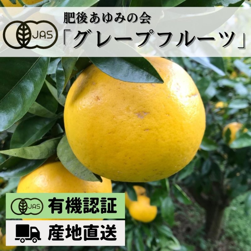 有機認証 熊本産 グレープフルーツ 農薬 化学肥料不使用 5kg Or 10kg えと菜園オンラインショップ 自然栽培や有機栽培の商品をお届け