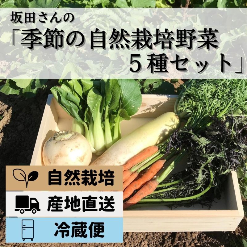 冷蔵便 坂田さんの自然栽培 農薬不使用 肥料不使用 野菜セット5種 えと菜園オンラインショップ 自然栽培や有機栽培の商品をお届け
