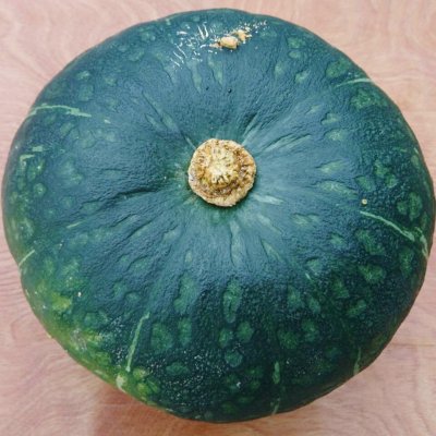 三重県伊賀上野産 農薬も肥料もなし自然に育ったロロンかぼちゃ約4.5
