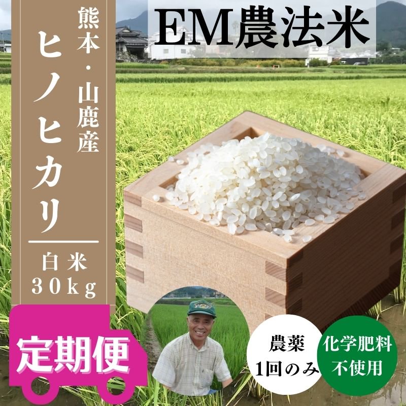 回数選べる♪定期購入便「EM農法米＜白米＞」ヒノヒカリ（熊本県山鹿市