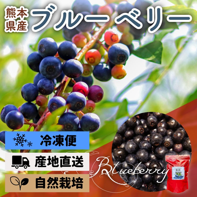 自然栽培「熊本県産ブルーベリー」　えと菜園オンラインショップ　自然栽培や有機栽培の商品を全国へお届け。