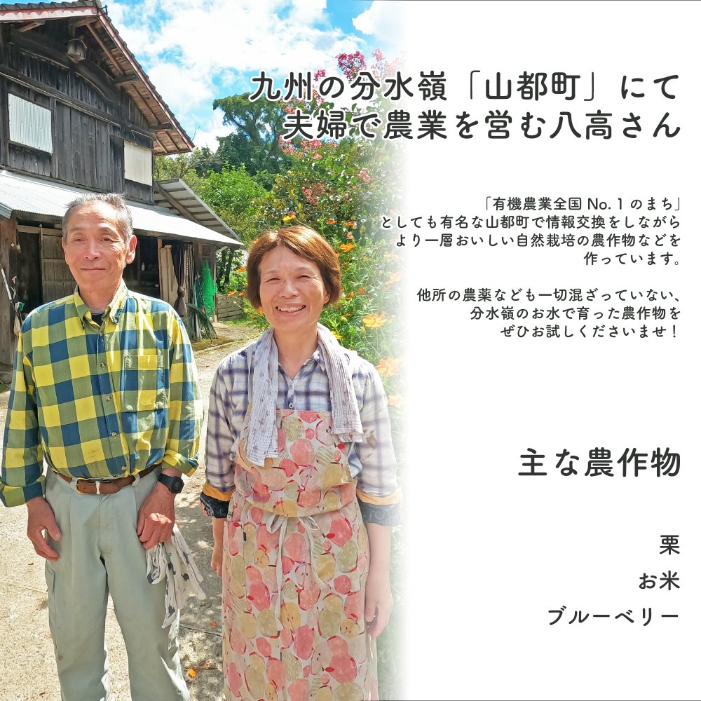 自然栽培「熊本県産ブルーベリー」1kg (急速冷凍便）えと菜園オンラインショップ 自然栽培や有機栽培の商品を全国へお届け。