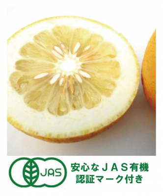 有機認証「パール柑」熊本産 5kg えと菜園オンラインショップ 有機認証「パール柑」熊本産 5kg えと菜園オンラインショップ