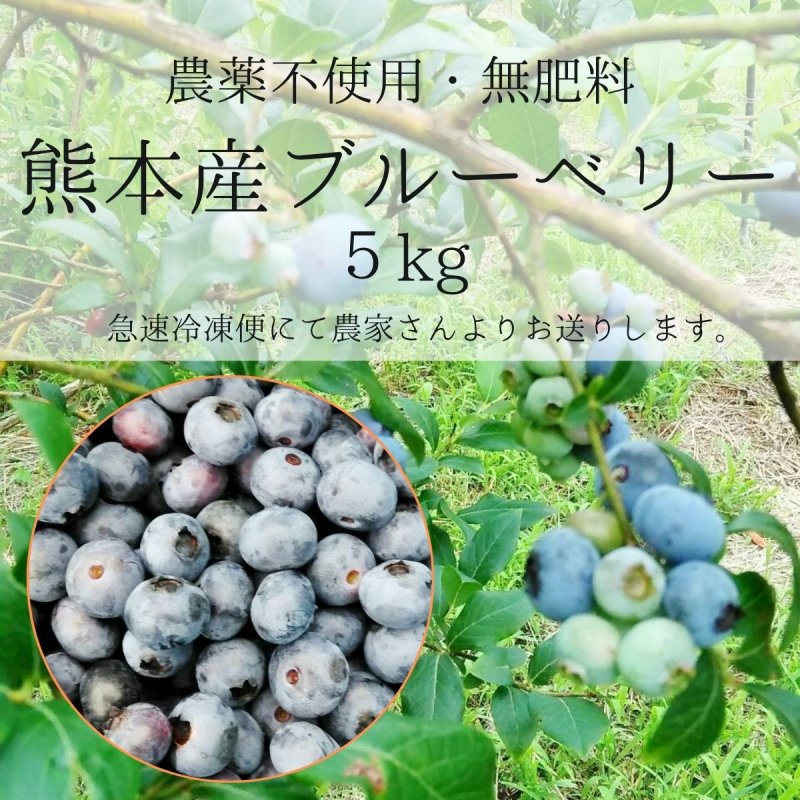 自然栽培「熊本県産ブルーベリー」5kg (急速冷凍便）えと菜園オンラインショップ 自然栽培や有機栽培の商品を全国へお届け。