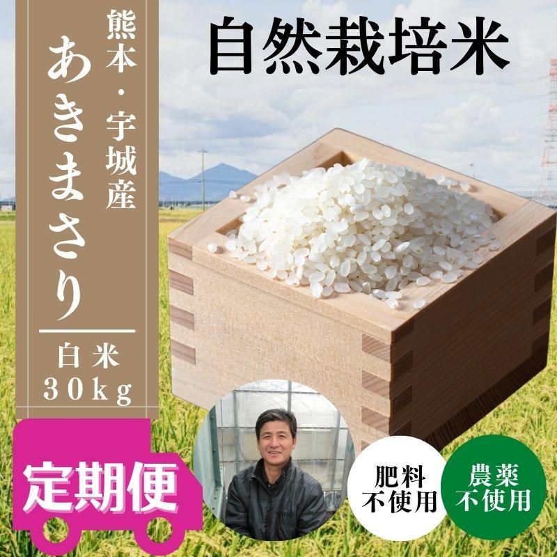 陰山織物謹製 農薬不使用 無農薬 自然栽培米 無化学肥料 ヒノヒカリ