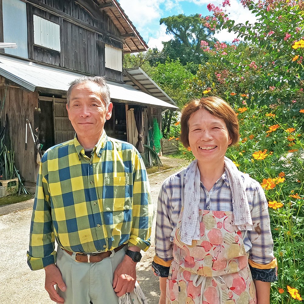 【熊本・山都町産｜農家直送】冷めても美味しい「山間地米」ヒノヒカリ＜白米・10kg＞ えと菜園オンラインショップ　自然栽培や有機栽培の商品をお届け