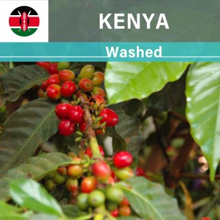 季節のコーヒー Kenya Kirinyaga　　　【ケニア キリニャガFW】 中煎 