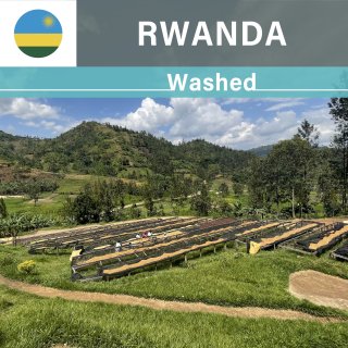 季節のコーヒー Rwanda Kilimbi　　【ルワンダ キリンビFW】 中深煎 