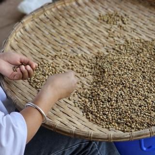 Υҡ Yunnan ڱۥåɡʥ롡