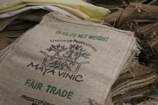 Υҡ Mexico Maya Vinic ڥޥӥ˥å 濼