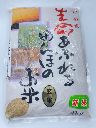 令和4年産新米　生命あふれる田んぼのお米　玄米（宮城県　ひとめぼれ）4kg