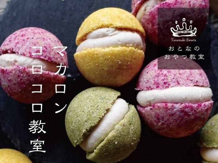 マカロンコロコロ教室 Space K-holic X たねまき - Tanemakiネットうり