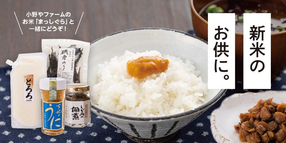 しじみのお取り寄せ・通販｜青森｜津軽十三湖シジミをお届けします