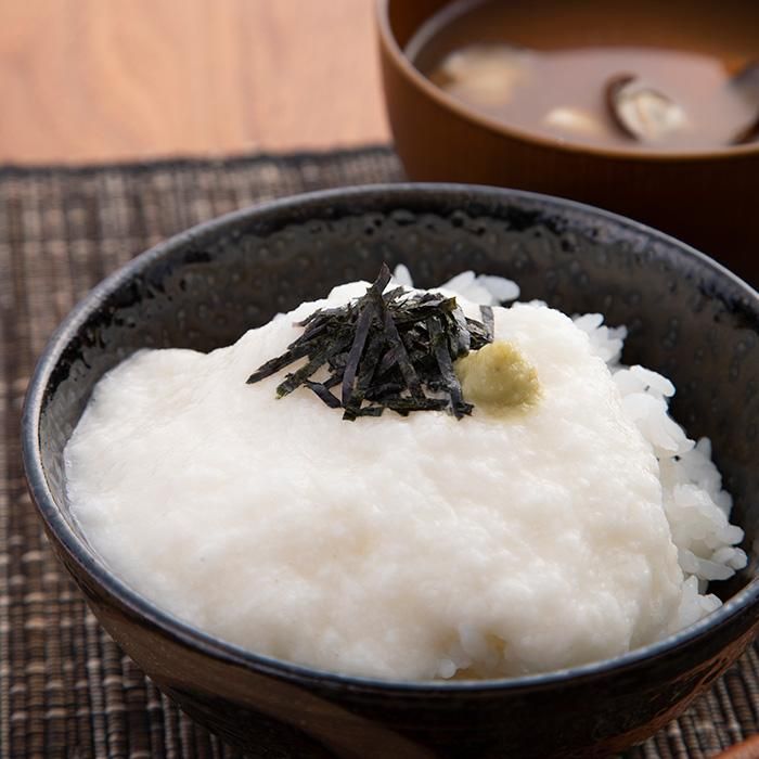 【とろろ様】専用 送料無料】十勝産長芋とろろ 〔(40g×4)×12〕 とろろ 冷凍 国産