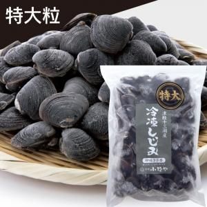 袋入り - しじみのお取り寄せ・通販｜青森｜津軽十三湖シジミをお届け