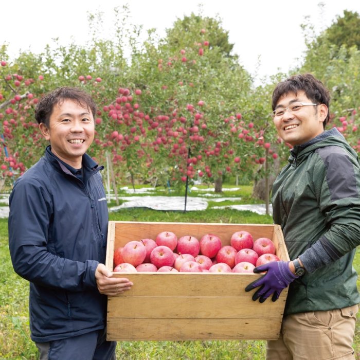 ご贈答用》さとうりんご園さんの箱入りんご「寿」サンふじ・王林12-14玉【送料込・同梱不可】 - しじみのお取り寄せ・通販｜青森｜津軽十三湖シジミ をお届けします【津軽小野や】