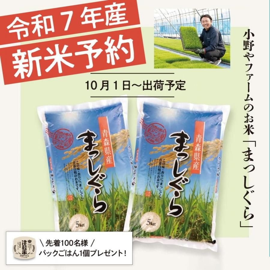 新米予約受付中：10月1日より順次発送】令和7年産 小野や