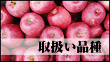 りんご取扱い品種一覧
