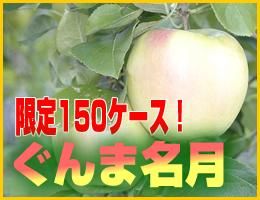 数量限定】【予約】ぐんま名月 5kg（約14～18玉） - 【りんご一筋 藤原