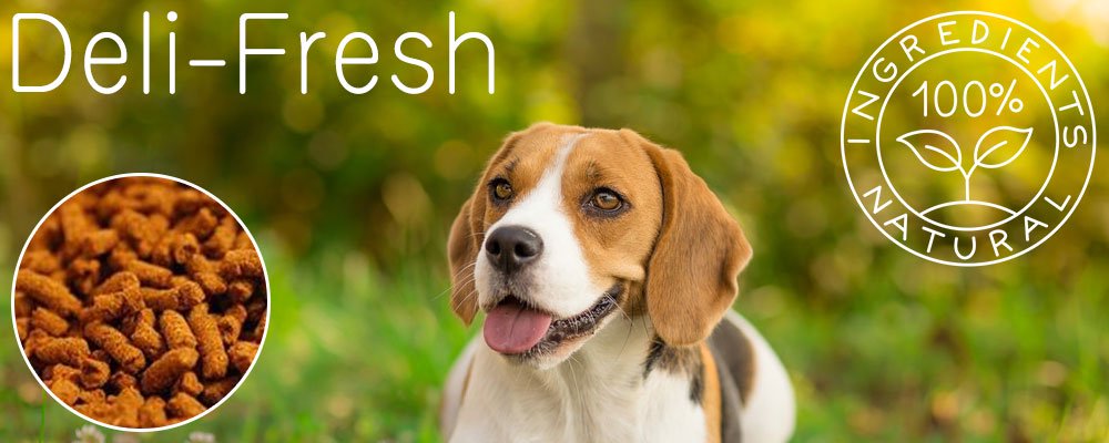 国産無添加プレミアムドッグフード Deli-Fresh 全犬種用大粒 - 犬のおやつ・無添加ドッグフードの通販 | Treats Factory