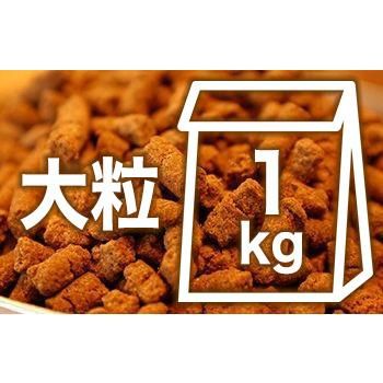 全犬種用 プレミアムドッグフ一ド✖️5 国産無添加プレミアムドッグフード Deli-Fresh 全犬種用大粒