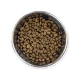 BARKING HEADS С󥰥إå åסå󡦥  200g(40gx5) ѥå 