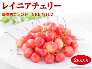 <img class='new_mark_img1' src='https://img.shop-pro.jp/img/new/icons62.gif' style='border:none;display:inline;margin:0px;padding:0px;width:auto;' />2023ǯ*GEEWHIZ*쥤˥꡼*2kgʣܺϤͽ