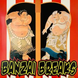 DJ $hin - Banzai Breaks 12