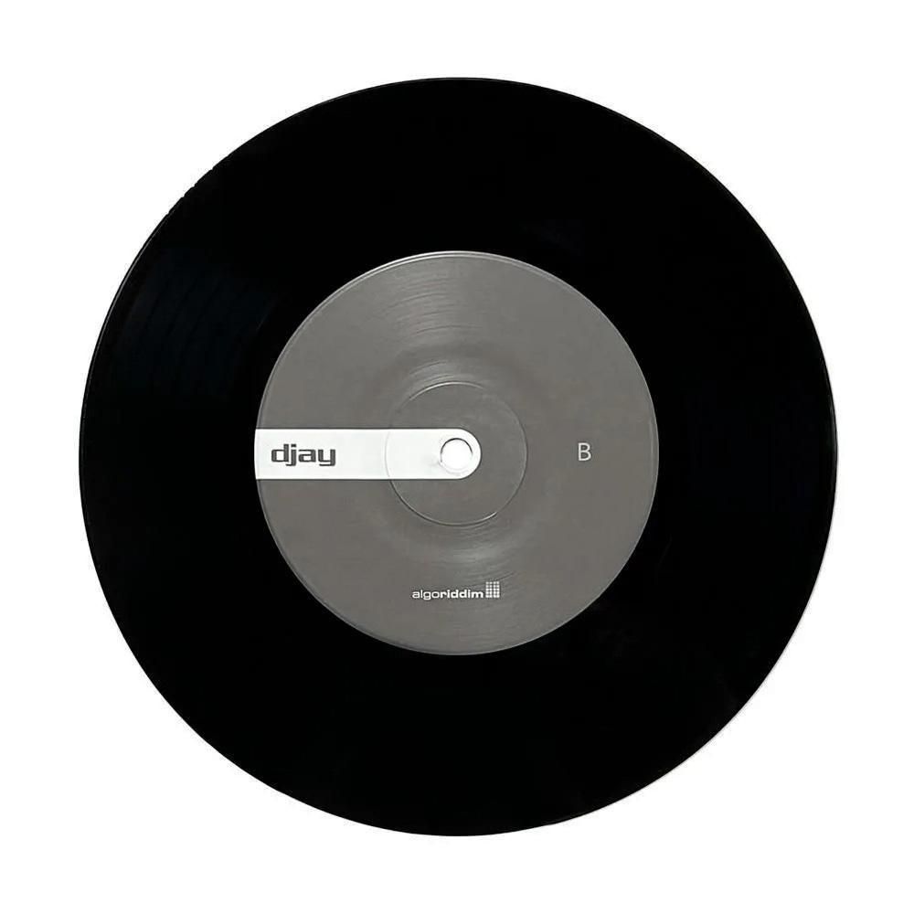 Algoriddim djay Control Vinyl 7