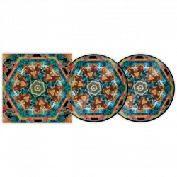 The Gaslamp Killer Break Stuff Serato Control Vinyl Pair