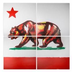 California Bear Serato Control Vinyl Set