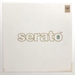 12" Serato Control Vinyl Glow In The Dark 2祻å