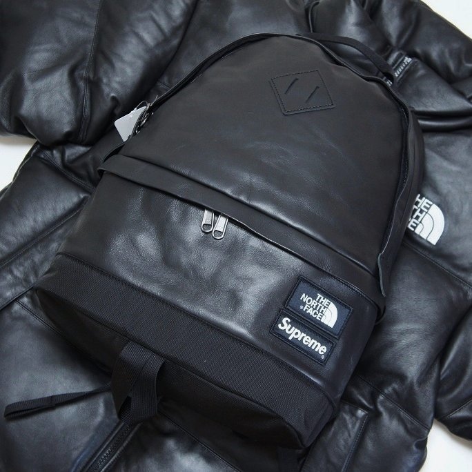 Supreme north face lether day pack
