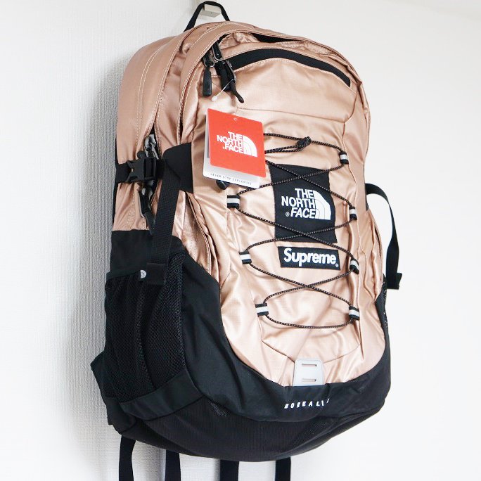 2023Supreme/The North Face Borealis Backpack