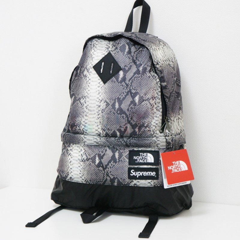 Supreme The North Face Lightweight Day Pack<img class='new_mark_img2' src='https://img.shop-pro.jp/img/new/icons47.gif' style='border:none;display:inline;margin:0px;padding:0px;width:auto;' />