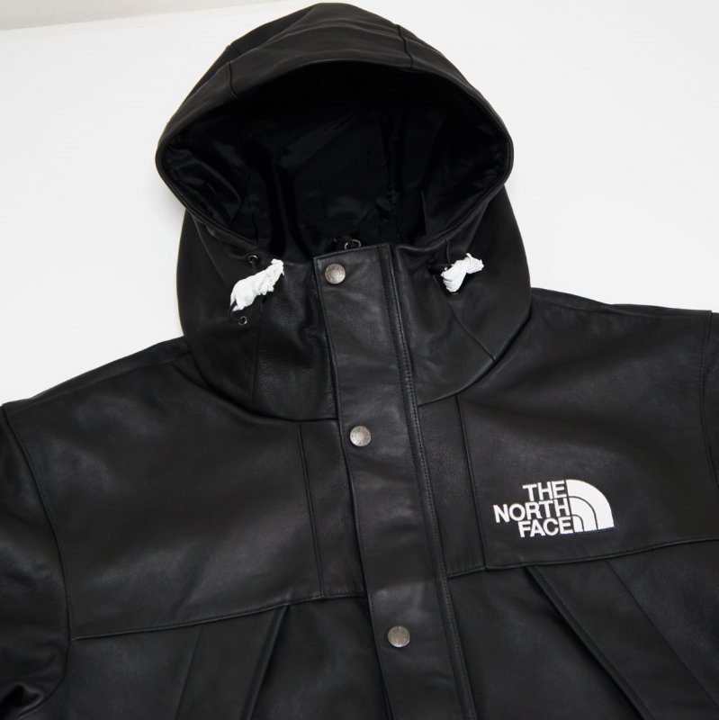 Supreme The North Face Leather Mountain Parka - Supreme 通販 ...