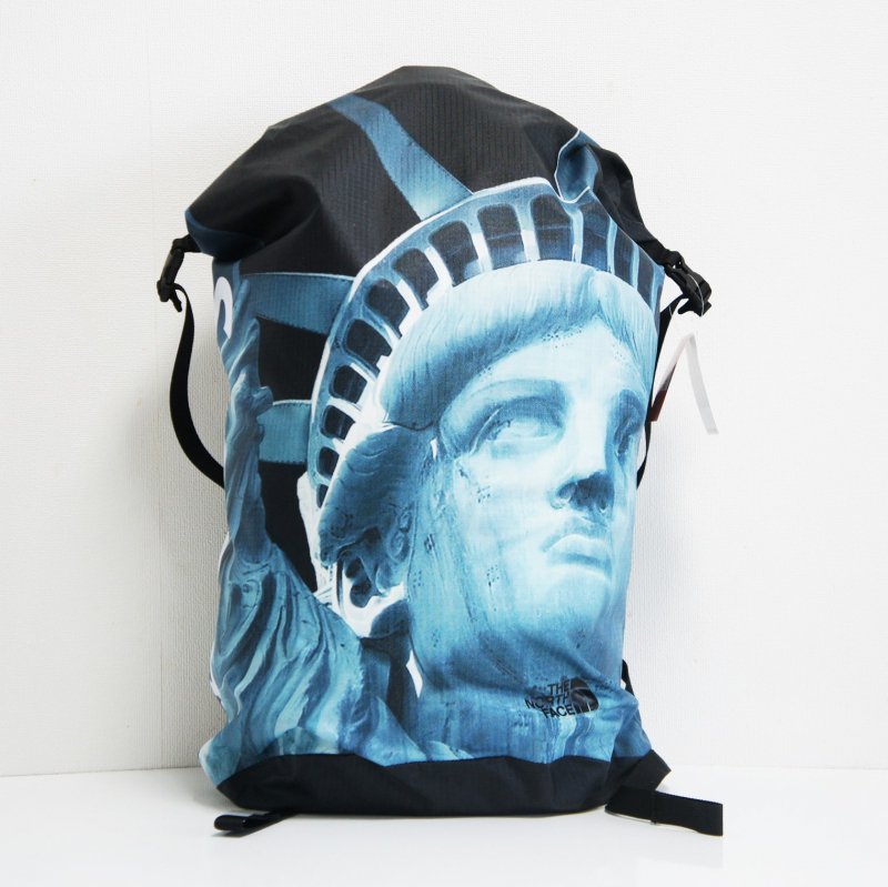 Supreme The North Face Statue of Liberty Waterproof Backpack ...