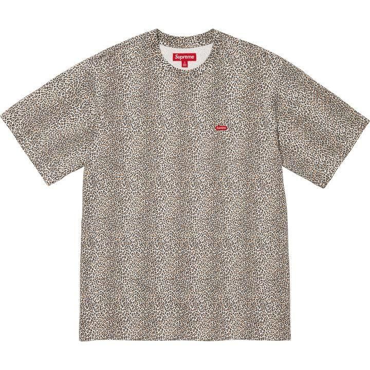 Supreme Small Box Logo Tee<img class='new_mark_img2' src='https://img.shop-pro.jp/img/new/icons15.gif' style='border:none;display:inline;margin:0px;padding:0px;width:auto;' />