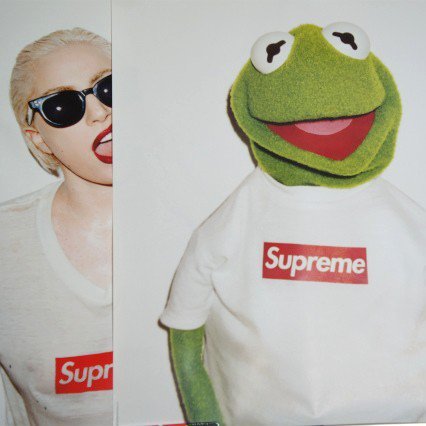 Supreme Kermit Poster Supreme 通販 Online Shop A 1 Record