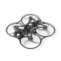 BETAFPV Pavo35 Brushless ͥաץɥ (ELRS 2.4G) [01010037_1]