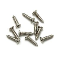 M1.4x6 Stainless self tapping Screw (10pcs) (HJ)