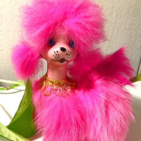 Pink Fur Poodle