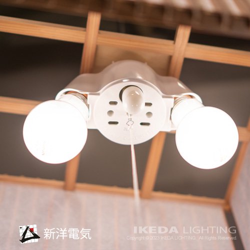 清　Sei　L2　和風ペンダント　｜ LED照明、照明器具の通販ならイケダ照明 online store