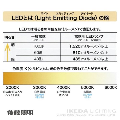 LED スワンバルブ 2400 　ボール球｜LED照明、照明器具の通販ならイケダ照明 online store